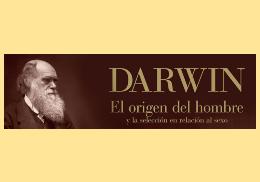 Darwin